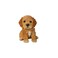 HI-LINE HiLine Gift Ltd Sitting Cockapoo Puppy 6 Brown