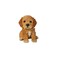 HI-LINE HiLine Gift Ltd Sitting Cockapoo Puppy 6 Brown