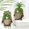 Upltowtme Succulent Gnomes Spring Decorations for Home Spring Green Plants Gnomes Swedish Plush Tiered Tray Decoration Indoor Table Office Collection Summer Gift Plant Lover