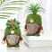 Upltowtme Succulent Gnomes Spring Decorations for Home Spring Green Plants Gnomes Swedish Plush Tiered Tray Decoration Indoor Table Office Collection Summer Gift Plant Lover