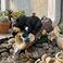 GARDEN WHISPER Bear Statue Decor Bear Gutter Downspout Extension Weather Resistant Resin Outdoor Decorative