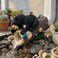 GARDEN WHISPER Bear Statue Decor Bear Gutter Downspout Extension Weather Resistant Resin Outdoor Decorative