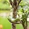 Cmrweio Frog Statues for Garden Outdoors Hanging Sleeping Frog Sculptures Swing Home Dcor