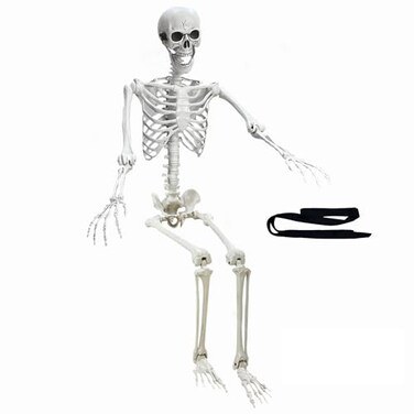 Wocst 54Ft Halloween Life Size Human Skeletons Poseable Life Size Skeletons with Rope Plastic Human Bones with Movable Joints for Halloween Decoration