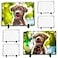 Nicunom 6 Pack Sublimation Blank Slate Rock Photo Plaque Frame with Display Stand Personalized Rectangular Picture Stone Frame DIY Gift for Christmas Thanksgiving Birthday Wedding 75 x 55 In