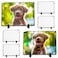 Nicunom 6 Pack Sublimation Blank Slate Rock Photo Plaque Frame with Display Stand Personalized Rectangular Picture Stone Frame DIY Gift for Christmas Thanksgiving Birthday Wedding 75 x 55 In