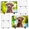 Nicunom 6 Pack Sublimation Blank Slate Rock Photo Plaque Frame with Display Stand Personalized Rectangular Picture Stone Frame DIY Gift for Christmas Thanksgiving Birthday Wedding 75 x 55 In