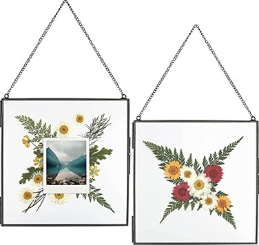 Beedecor Glass Frame for Pressed Flowers Leaf and Artwork 8x8 Black Hanging Square Metal Picture Frames Clear Double Glass Floating Frame Wall Decor Photo Display Set of 2 Flower Press Frames with Cha