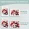 Golden State Art 12x16 Picture Frame with Mat for 11x14 Picture Shatter Resistant Plexiglass Engineered Wood Gallery Wall Frame for 30x40 cm Print White 1 Pack