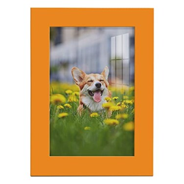 Renditions Gallery 5x7 inch Picture Frame Highend Modern Style Made of Solid Wood and High Definition Glass Ready for Wall and Tabletop Photo Display Orange Frame
