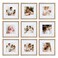 Sheffield Home 9 Piece Gallery Wall Frame Set 12x12 in Matted to 8x8 in Light Natural