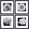 Yaetm 12x12 Picture Frames Black Set of 4 Square Frame Displays 8x8 with Mat or 12 x 12 without Mat Gallery Wall Frames 12x12 for Wall Mounted 4 Pack Black