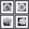 Yaetm 12x12 Picture Frames Black Set of 4 Square Frame Displays 8x8 with Mat or 12 x 12 without Mat Gallery Wall Frames 12x12 for Wall Mounted 4 Pack Black