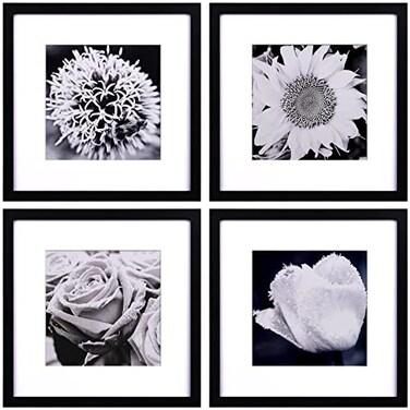 Yaetm 12x12 Picture Frames Black Set of 4 Square Frame Displays 8x8 with Mat or 12 x 12 without Mat Gallery Wall Frames 12x12 for Wall Mounted 4 Pack Black