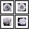 Yaetm 12x12 Picture Frames Black Set of 4 Square Frame Displays 8x8 with Mat or 12 x 12 without Mat Gallery Wall Frames 12x12 for Wall Mounted 4 Pack Black