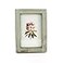 Zhenzan Frames 4x6 Inches Simple Rectangular Desktop Family Picture Photo Frame with Glass Front Green