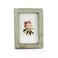 Zhenzan Frames 4x6 Inches Simple Rectangular Desktop Family Picture Photo Frame with Glass Front Green