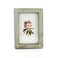 Zhenzan Frames 4x6 Inches Simple Rectangular Desktop Family Picture Photo Frame with Glass Front Green