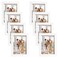 Golden State Art 5x7 Picture Frames Set of 8 Gallery Wall Frame Collage Tabletop Thin Frames with Plastic Glass Horizontal or Vertical Displays 5x7 White 8Pack