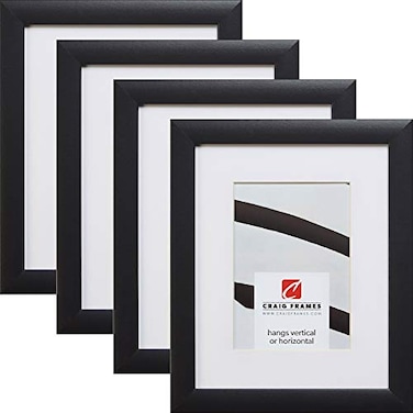 Craig Frames Contemporary 20 x 24 Inch Black Picture Frame Matted to Display a 16 x 20 Inch Photo Set of 4