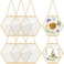 Marsui 8 Pcs Pressed Flower Frames 4 x 3 Inch Hanging Glass Floating Photo Frames Glass for Pressed Flowers Double Picture for Artwork Display Photo Modern Home Wall DecorGold