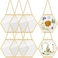 Marsui 8 Pcs Pressed Flower Frames 4 x 3 Inch Hanging Glass Floating Photo Frames Glass for Pressed Flowers Double Picture for Artwork Display Photo Modern Home Wall DecorGold
