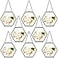 Marsui 8 Pcs Pressed Flower Frames 4 x 3 Inch Hanging Glass Floating Photo Frames Glass for Pressed Flowers Double Picture for Artwork Display Photo Modern Home Wall DecorBlack