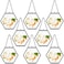 Marsui 8 Pcs Pressed Flower Frames 4 x 3 Inch Hanging Glass Floating Photo Frames Glass for Pressed Flowers Double Picture for Artwork Display Photo Modern Home Wall DecorBlack