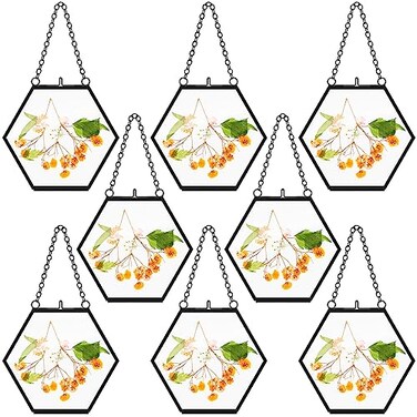 Marsui 8 Pcs Pressed Flower Frames 4 x 3 Inch Hanging Glass Floating Photo Frames Glass for Pressed Flowers Double Picture for Artwork Display Photo Modern Home Wall DecorBlack