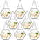 Marsui 8 Pcs Pressed Flower Frames 4 x 3 Inch Hanging Glass Floating Photo Frames Glass for Pressed Flowers Double Picture for Artwork Display Photo Modern Home Wall DecorBlack