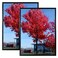 Medog 24x36 Poster Frame Black 2 Pack Display Pictures 24x36 Picture Schools Colleges Sign Frame