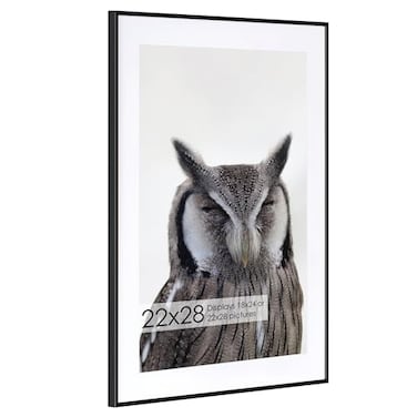 Fun Memories 22x28 Metal Picture Frame with 18x24 Mat Brushed Aluminum Finish Tempered Glass Front and Attached Hanging Hardware Wall Display Frames for Vertical or Horizontal Orientation Black