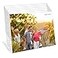 Bolidery 4x6 Acrylic Picture Frames Set Of 6 Clear Acrylic Frameless Gift for Desktop Display Standing Picture or Display Sign Holder with Inserts for Home Office Horizontal