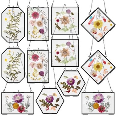 Soaoo 12 Pcs Brass Glass Frame for Pressed Flowers with Chain Clear Double Glass Floating Artwork Display Frame for Wall Decor with Dried Plant Leaf 6 Shapes Black