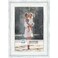 Icona Bay 4x6 Cloudy White Picture Frame Cape Cod Style 4 x 6 Photo Frame Table Top or Wall Mount Bayou Collection