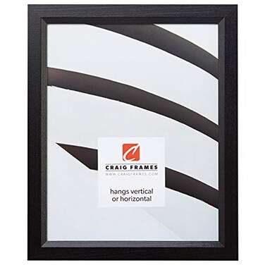 Craig Frames 14x19 Solid Black Picture Frame 0825 Wood Grain Finish Poster Display