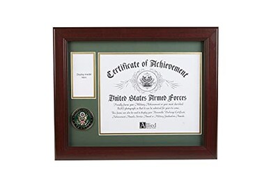 Allied Flag Allied Frame US Army Medal and Award Frame with Medallion 13 x 16