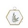 NCYP Mini Glass Floating Frame for Dried Flowers Plants Photo Side length 19 Inches Wall Hanging Vertical Decor Small Double Specimen Clip Gold Hexagon Glass Frame Only