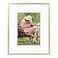 Frametory 8x10 Aluminum Picture Frame 8 x 10 Gold Frame with Removable Mat for 5 x 7 Photo 8 by 10 Durable Metal Frame with Real Glass Sawtooth Hanger for Easy Wall Display 1 Pack