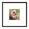 Frametory 8x8 Aluminum Picture Frame 8 x 8 Black Frame with Removable Mat for 4 x 4 Photo 8 by 8 Durable Metal Frame with Real Glass Sawtooth Hanger for Easy Wall Display 1 Pack