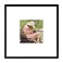 Frametory 8x8 Aluminum Picture Frame 8 x 8 Black Frame with Removable Mat for 4 x 4 Photo 8 by 8 Durable Metal Frame with Real Glass Sawtooth Hanger for Easy Wall Display 1 Pack