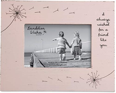 Pavilion Gift Dandelion Wishes 77152 Picture Frame Friend Like You Pink Rustic 4x6 Picture Frame