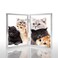 DECANIT 35x5 Picture Frame Double Hinged Silver Metal Thin Edge Frame with High Definition Glass Front Folding Frames Stand Vertically on TabletopSilver