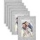 Langdon House 4x6 Picture Frames Ash Gray 6 Pack Woodgrain Style Richland Collection
