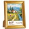 TWING 5x7 Picture FrameDisplay Pictures 4x6 with Mat or 5x7 Without MatOrnate Picture Frames for Wall Mounting or Table DisplayRustic Gold1 Pack