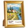 TWING 5x7 Picture FrameDisplay Pictures 4x6 with Mat or 5x7 Without MatOrnate Picture Frames for Wall Mounting or Table DisplayRustic Gold1 Pack