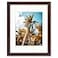 Frametory 11x14 Picture Frame with Mat for 8x10 Photo High Definition Glass Wide Molding Preinstalled Wall Mounting Hardware Brown 1 Pack