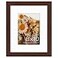 Golden State Art 8x10 Picture Frame with Mat for 5x7 Photo High Definition Glass Wall Mounting or Tabletop Display Brown 1 Pack