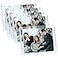 ECOSEAO 4x6 Acrylic Picture Frame 5 Pack Clear Magnetic Picture Frame Desktop Display with Photo Frame Support Stand Best Gift for Family Baby