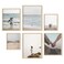 HAUS AND HUES Natural Wood Picture Frames Set of 6 Frame Sets for Wall Collage Gallery Wall Frame Set Assorted Picture Frame Sets for Wall Collage Two 8x10 Two 11x14 Two 12x16 Beige Frame